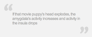 Illustration for article titled Brain Scans Can Predict How You'll React to a Movie Scene
